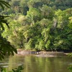 La Guyane : une terre française au milieu de l'Amazonie