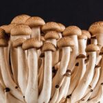 Comment utiliser les champignons magiques en cuisine